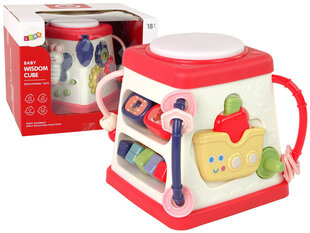 Hariduslik kuubik beebidele Happy Melodies Lights Butterfly hind ja info | Imikute mänguasjad | kaup24.ee