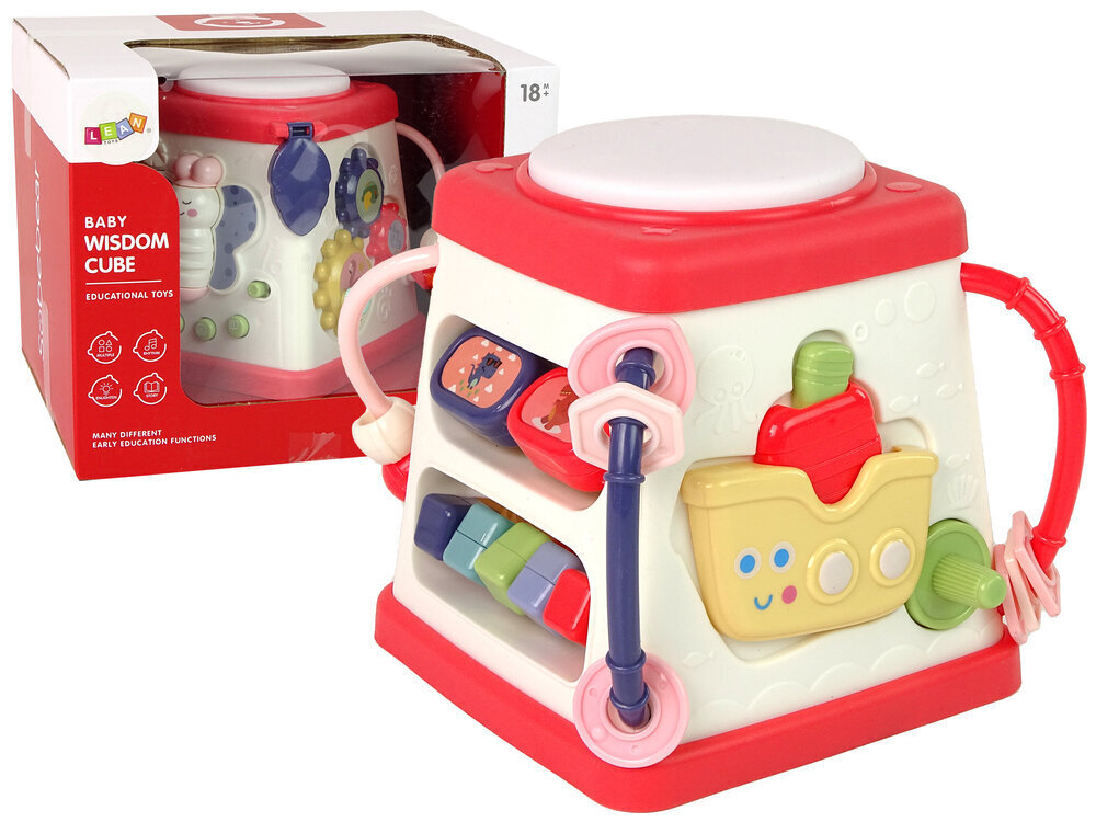 Hariduslik kuubik beebidele Happy Melodies Lights Butterfly цена и информация | Imikute mänguasjad | kaup24.ee