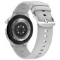 DT NO.1 DT4 Mate Silver цена и информация | Nutikellad (smartwatch) | kaup24.ee