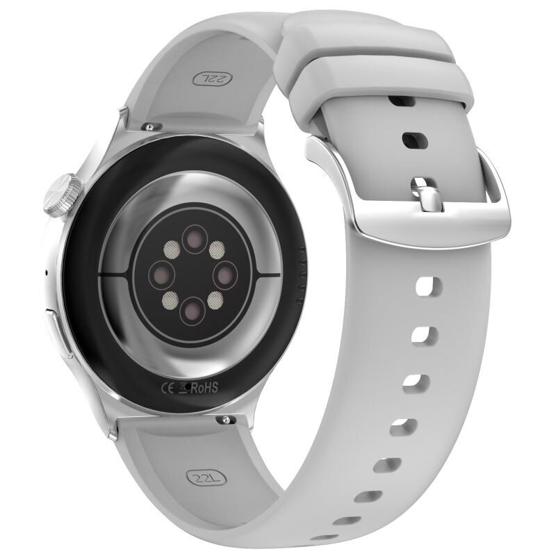 DT NO.1 DT4 Mate Silver hind ja info | Nutikellad (smartwatch) | kaup24.ee