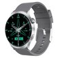 DT NO.1 DT4 Mate Silver цена и информация | Nutikellad (smartwatch) | kaup24.ee