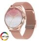 DT NO.1 DT Diamond Gold hind ja info | Nutikellad (smartwatch) | kaup24.ee