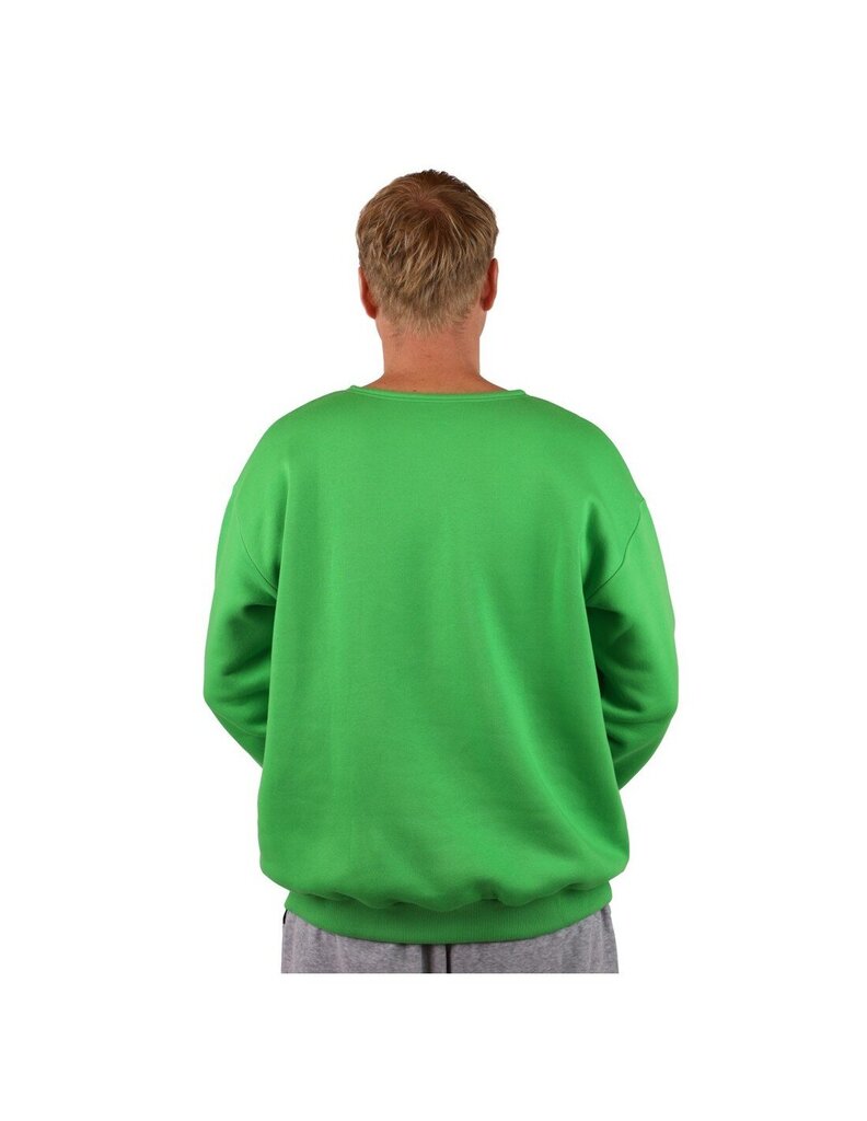 Dressipluus unisex Crew Neck Classic Green, roheline hind ja info | Meeste pusad | kaup24.ee