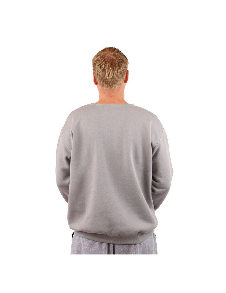 Dressipluus unisex Crew Neck Ash Grey, hall hind ja info | Meeste pusad | kaup24.ee