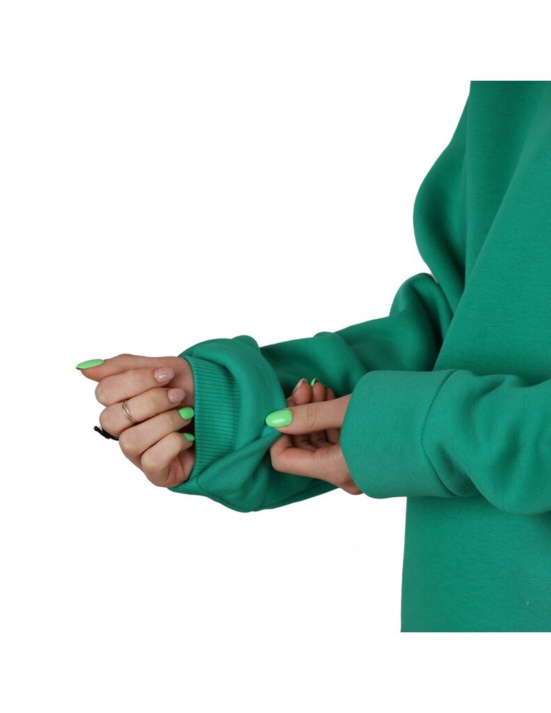 Dressipluus Unisex Hoodie Exquisite Line Kelly Green hind ja info | Meeste pusad | kaup24.ee