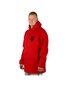 Dressipluus Unisex Hoodie Exquisite Line LT Red hind ja info | Meeste pusad | kaup24.ee