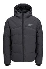 Talvejope meestele Jack&Jones, hall цена и информация | Мужские куртки | kaup24.ee