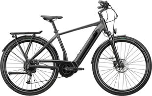Электрический велосипед GZR Forzar-e 2023, 54 см, серый цена и информация | Электровелосипеды | kaup24.ee