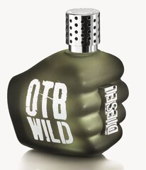 Tualettvesi Diesel Only The Brave Wild EDT meestele, 75 ml цена и информация | Мужские духи | kaup24.ee