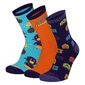 Sokid lastele Apollo Komputer socks, erinevad värvid, 3 paari hind ja info | Poiste sukkpüksid ja sokid | kaup24.ee