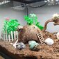 Akvaariumi kaunistuskomplekt Sinkoo, 19 цена и информация | Akvaariumi taimed ja dekoratsioonid | kaup24.ee