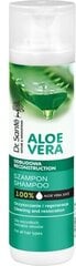 Šampoon Elfa Pharm Aloe, 250 ml цена и информация | Шампуни | kaup24.ee