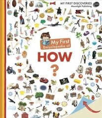 My First Encyclopedia of How? цена и информация | Книги для подростков и молодежи | kaup24.ee