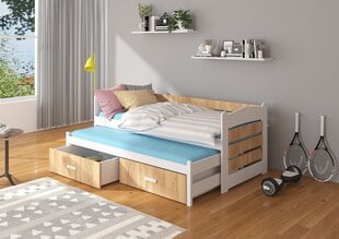 Lastevoodi ADRK Furniture Tiarro, 80x180 cm, valge/pruun цена и информация | Детские кровати | kaup24.ee