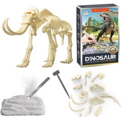 Creative Toy dinosauruse luustiku arheoloogiline väljakaevamine Woopie цена и информация | Развивающие игрушки | kaup24.ee