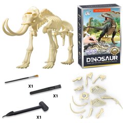 Creative Toy dinosauruse luustiku arheoloogiline väljakaevamine Woopie hind ja info | Arendavad mänguasjad | kaup24.ee