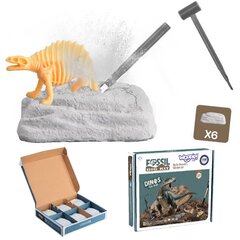WOOPIE Раскопки 6in1 Скелет динозавра Маленький археолог цена и информация | Развивающие игрушки | kaup24.ee
