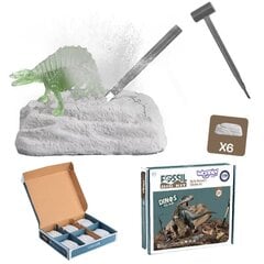Väljakaevamine 6in1 dinosauruse skelett Woopie, Väike arheoloog hind ja info | Arendavad mänguasjad | kaup24.ee