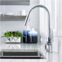 Смеситель с выдвижным душем Hansgrohe Focus, 31815000 цена и информация | Кухонные смесители  | kaup24.ee