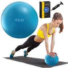 Pilatese pall 4Fizjo, 22 cm, sinine hind ja info | Võimlemispallid | kaup24.ee