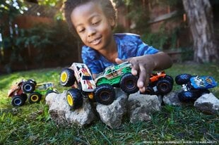 Машинки Hot Wheels Monster Trucks, 2 шт. цена и информация | Развивающий мелкую моторику - кинетический песок KeyCraft NV215 (80 г) детям от 3+ лет, бежевый | kaup24.ee