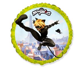 Fooliumist õhupall Miraculous - Cat Noir, 46 cm hind ja info | Õhupallid | kaup24.ee