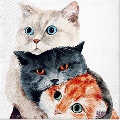 Salvrätikud cats, 33 x 33 cm, 20 tk hind ja info | Laudlinad, lauamatid, servjetid | kaup24.ee