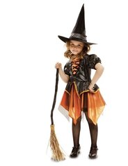 Костюм ведьмы цена и информация | Карнавальные костюмы | kaup24.ee