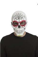 Mask Day of the dead hind ja info | Karnevali kostüümid | kaup24.ee