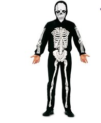 Skeleti kostüüm hind ja info | Karnevali kostüümid | kaup24.ee