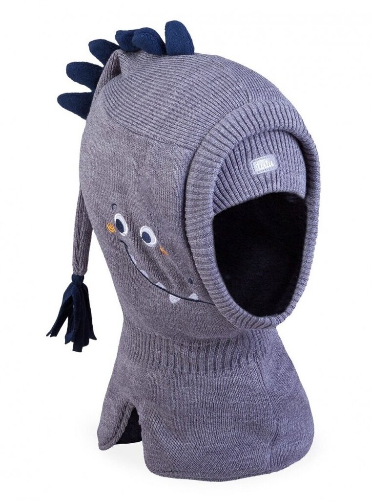 Talvemüts-kiiver poistele TuTu Dragon.3-005780.Grey. hind ja info | Imikute mütsid, sallid, kindad | kaup24.ee