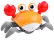 Roomav mänguasi, jooksev krabi hind ja info | Arendavad mänguasjad | kaup24.ee
