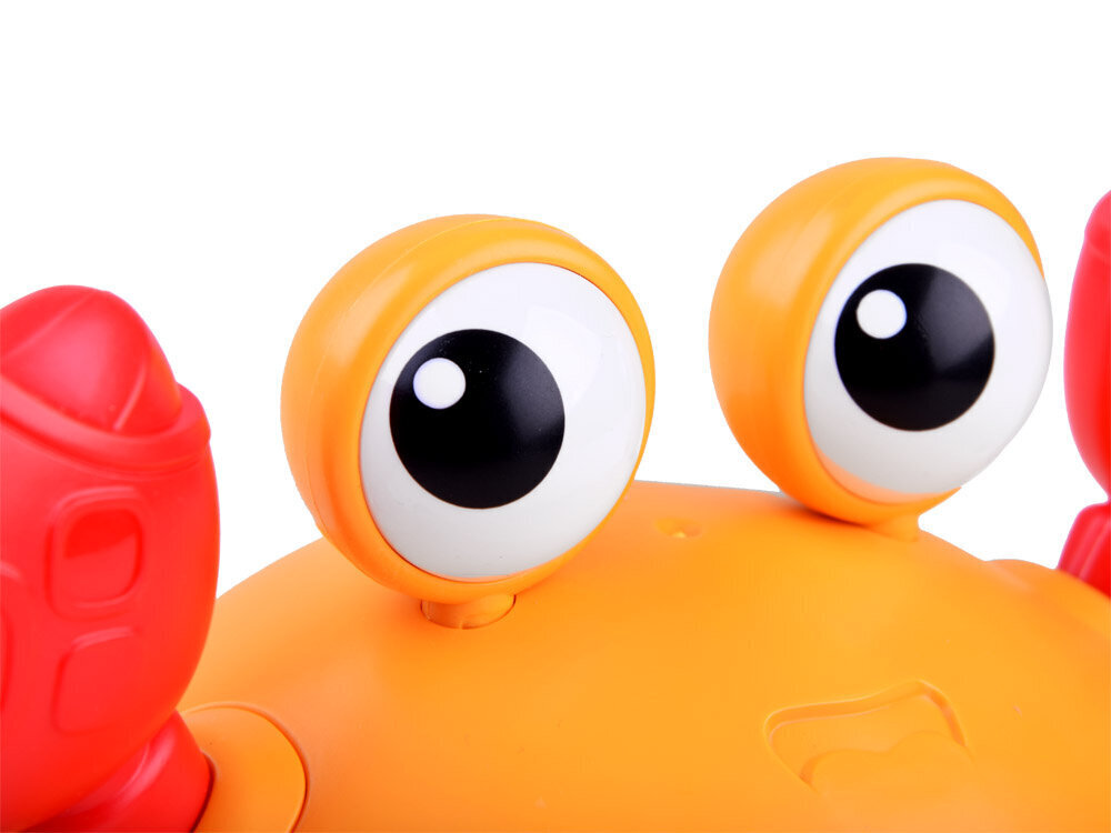 Roomav mänguasi, jooksev krabi цена и информация | Arendavad mänguasjad | kaup24.ee