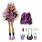 Nukk koos tarvikutega Monster High Clawdeen Wolf hind ja info | Tüdrukute mänguasjad | kaup24.ee