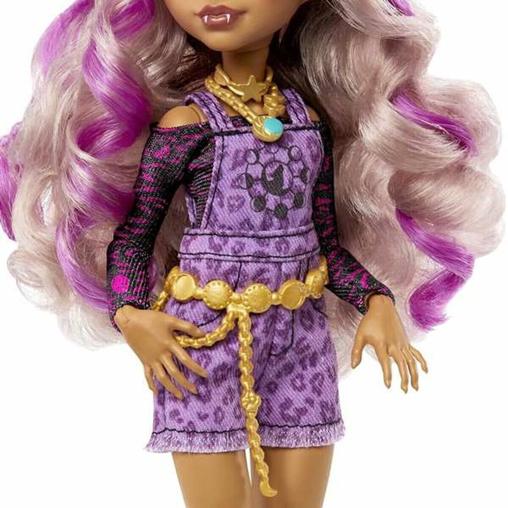 Nukk koos tarvikutega Monster High Clawdeen Wolf hind ja info | Tüdrukute mänguasjad | kaup24.ee