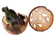 Dinosauruse figuur munast 3 värvi, 9 cm цена и информация | Poiste mänguasjad | kaup24.ee