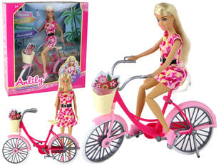 Anlily nukk koos aksessuaaridega, roosa hind ja info | Tüdrukute mänguasjad | kaup24.ee