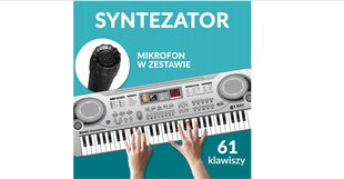 Детский синтезатор цена и информация | Развивающие игрушки и игры | kaup24.ee