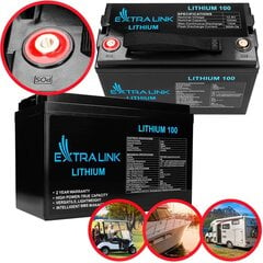 Aku Extralink LiFePo4 100Ah ​​12,8V, Bms цена и информация | Аккумуляторы | kaup24.ee