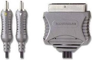 Bandridge, Scart/RCA, 1.5 m hind ja info | Bandridge Kodumasinad, kodutehnika | kaup24.ee