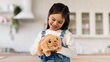 Interaktiivne komplekt Little Live Pets Kutsikamaja цена и информация | Tüdrukute mänguasjad | kaup24.ee