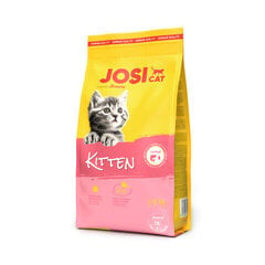 Kuivtoit Josera JosiCat kassipoegadele ja tiinetele kassidele, kodulinnulihaga, 1,9kg цена и информация | Сухой корм для кошек | kaup24.ee
