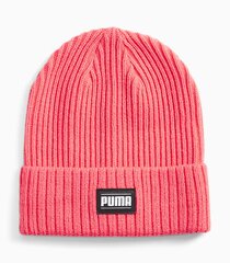 Müts naistele Puma 024038*08 цена и информация | Женские шапки | kaup24.ee