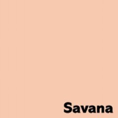 Värviline paber Image Coloraction, A4, Savana, 500 lehte hind ja info | Vihikud, märkmikud ja paberikaubad | kaup24.ee
