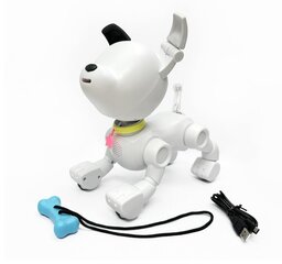 Интерактивный щенок Mintid Dog-E цена и информация | Игрушки для мальчиков | kaup24.ee