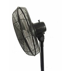 Seisuventilaator Bastilipo Tarifa 90W hind ja info | Ventilaatorid | kaup24.ee