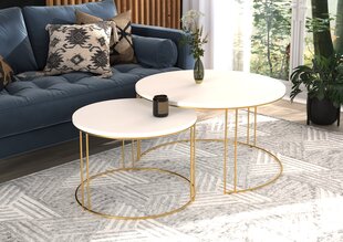Комплект кофейных столиков ADRK Furniture Etta, белый/золотой цвет цена и информация | Журнальные столики | kaup24.ee