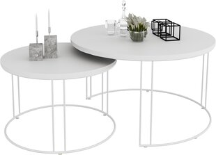 Комплект кофейных столиков ADRK Furniture Etta, белый цвет цена и информация | Журнальные столики | kaup24.ee