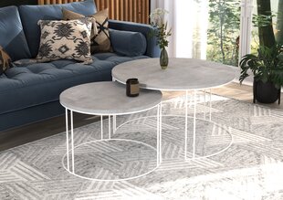 Diivanilaua komplekt Adrk Furniture Etta, hall/valge цена и информация | Журнальные столики | kaup24.ee