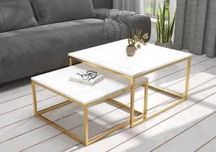 Diivanilaua komplekt Adrk Furniture Kama, valge/kuldne hind ja info | Diivanilauad | kaup24.ee